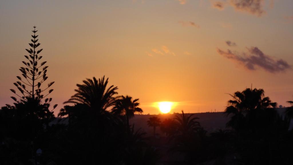 Apartamentos Aloe Playa del Inglés Exteriér fotografie